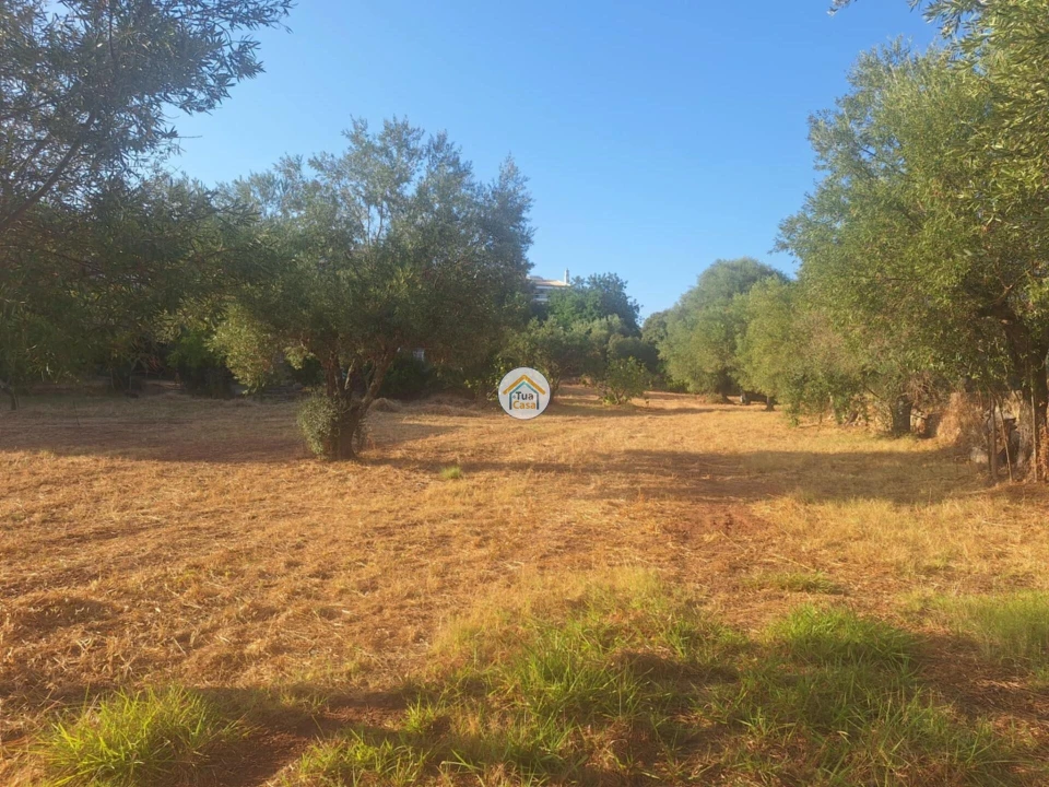 Terreno para Venda em São Brás de Alportel Foto 12