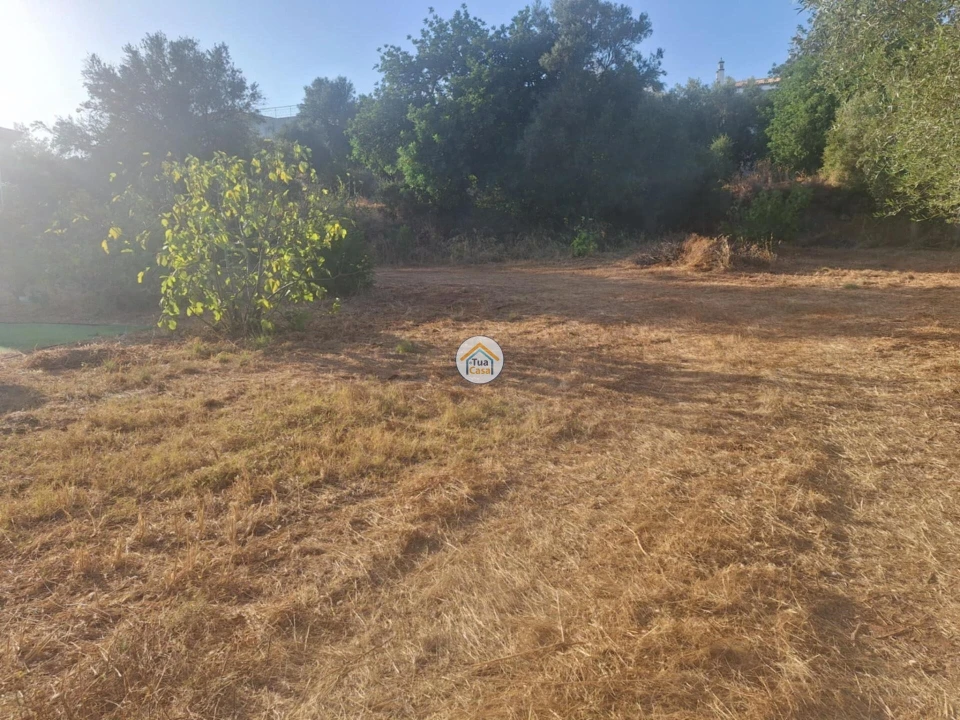 Terreno para Venda em São Brás de Alportel Foto 13