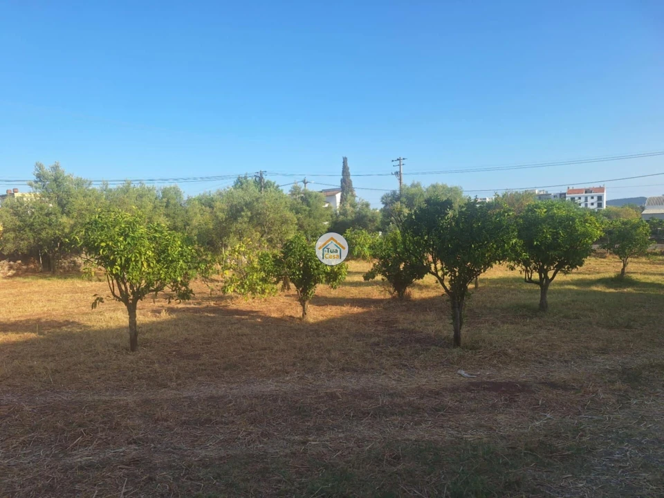 Terreno para Venda em São Brás de Alportel Foto 10