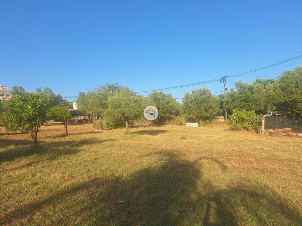 Terreno para Venda em São Brás de Alportel Foto 1