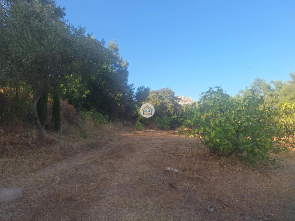 Terreno para Venda em São Brás de Alportel Foto 14