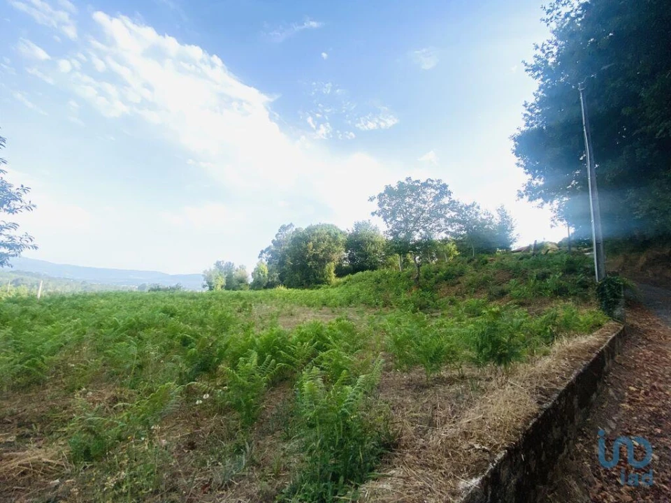 Terreno para Venda em Cornes Foto 13