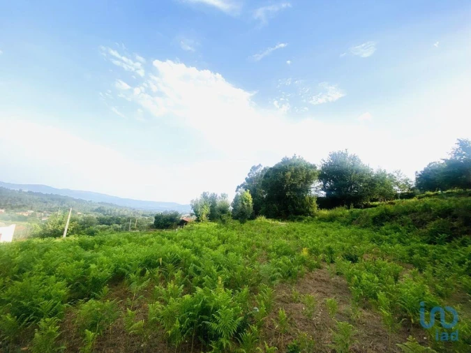 Terreno para Venda em Cornes Foto 12