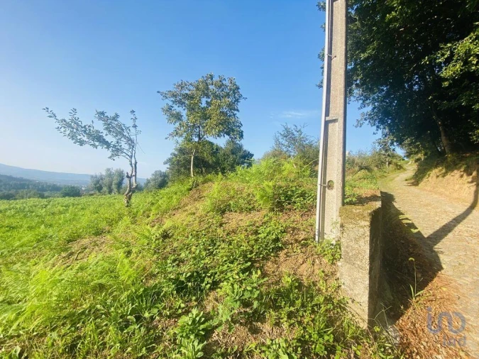 Terreno para Venda em Cornes Foto 4