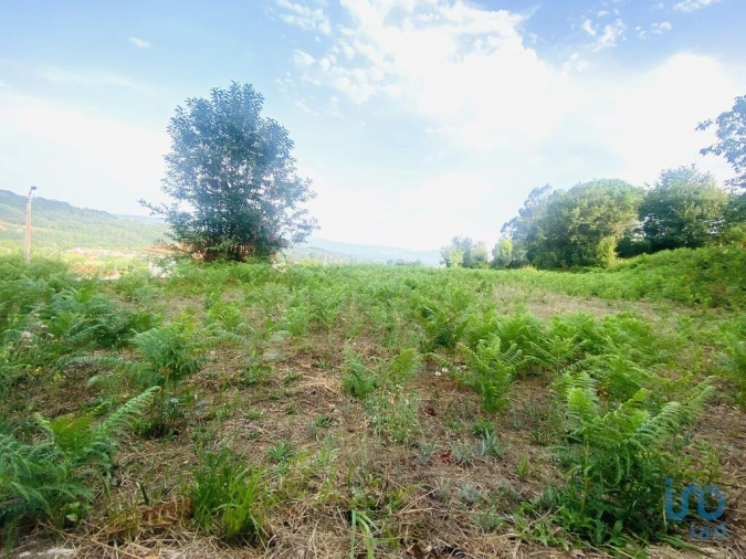 Terreno para Venda em Cornes Foto 7