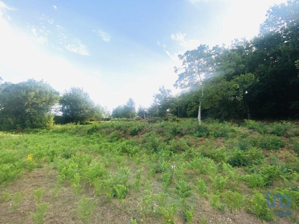 Terreno para Venda em Cornes Foto 2