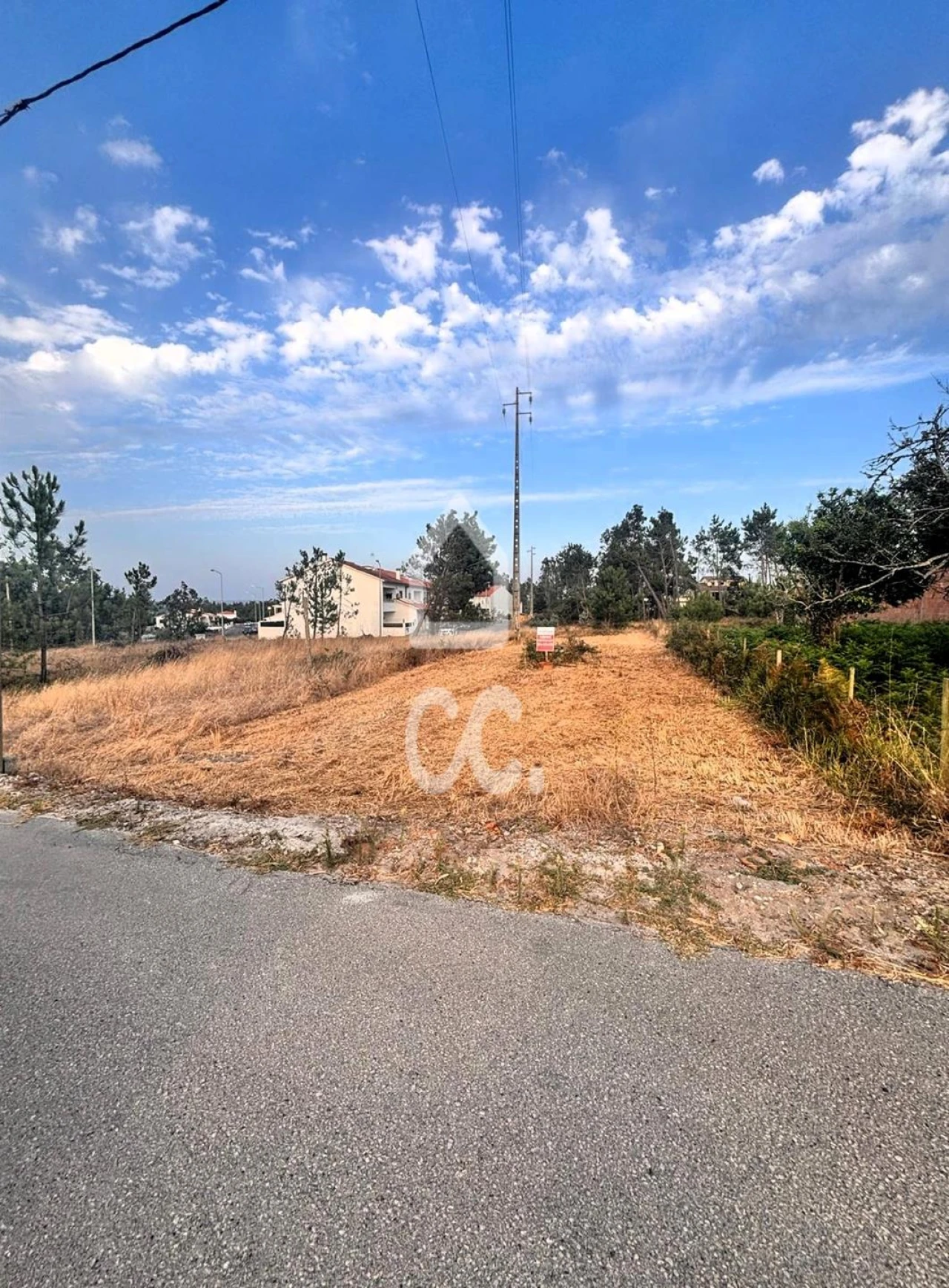 Terreno para Venda em Vieira de Leiria Foto 11