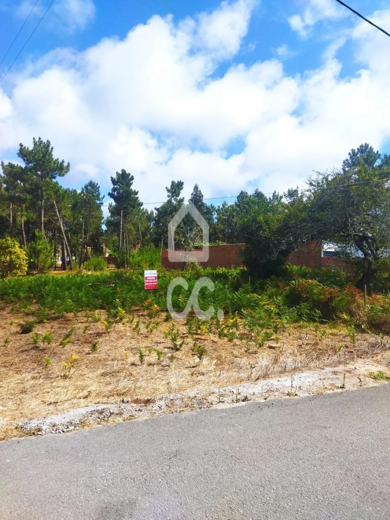 Terreno para Venda em Vieira de Leiria Foto 1