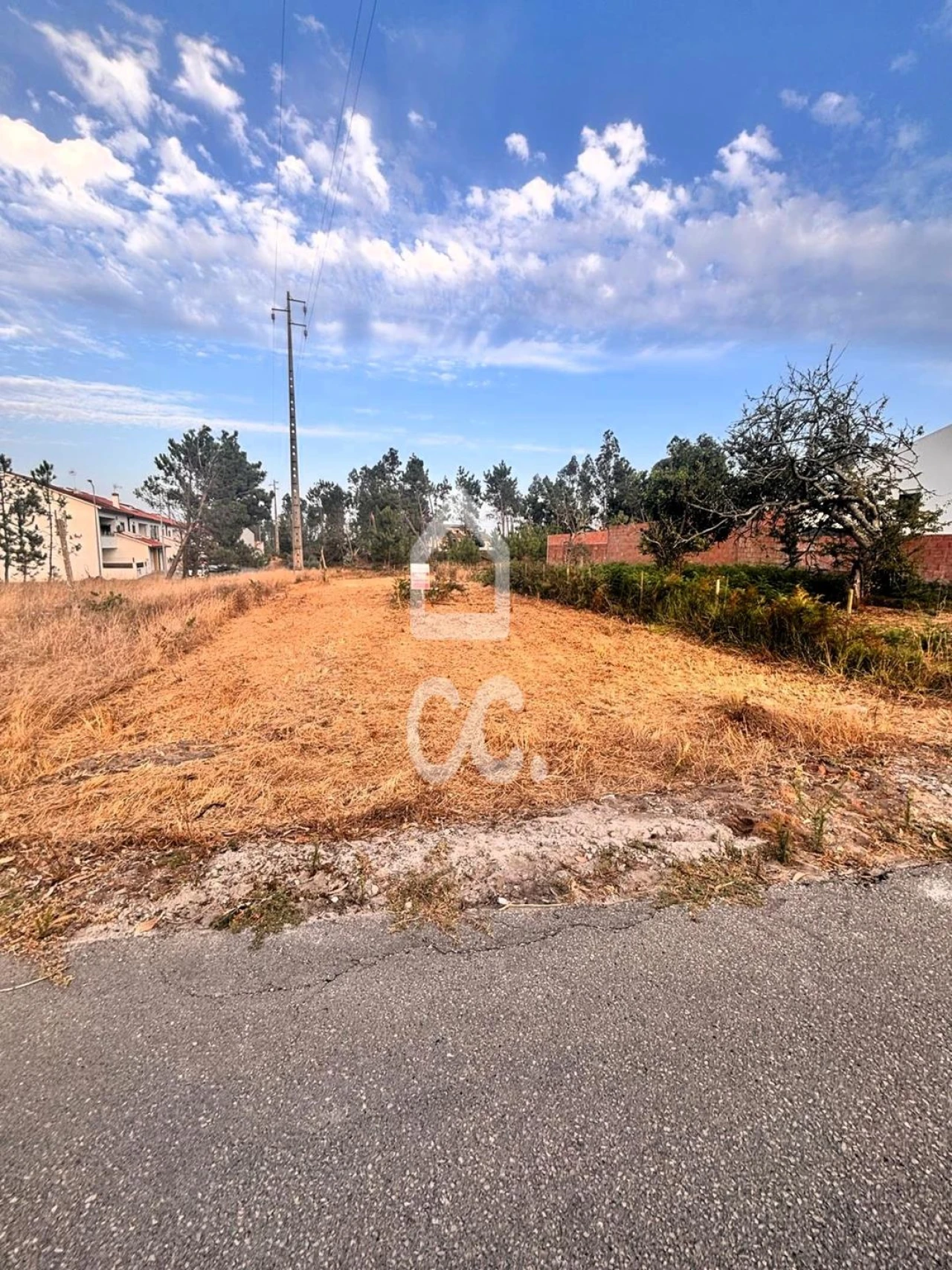 Terreno para Venda em Vieira de Leiria Foto 8