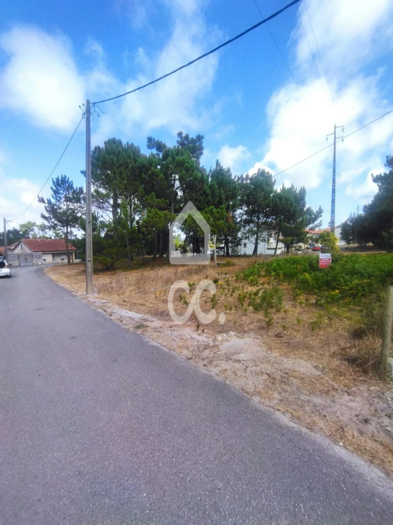 Terreno para Venda em Vieira de Leiria Foto 2