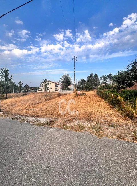 Terreno para Venda em Vieira de Leiria