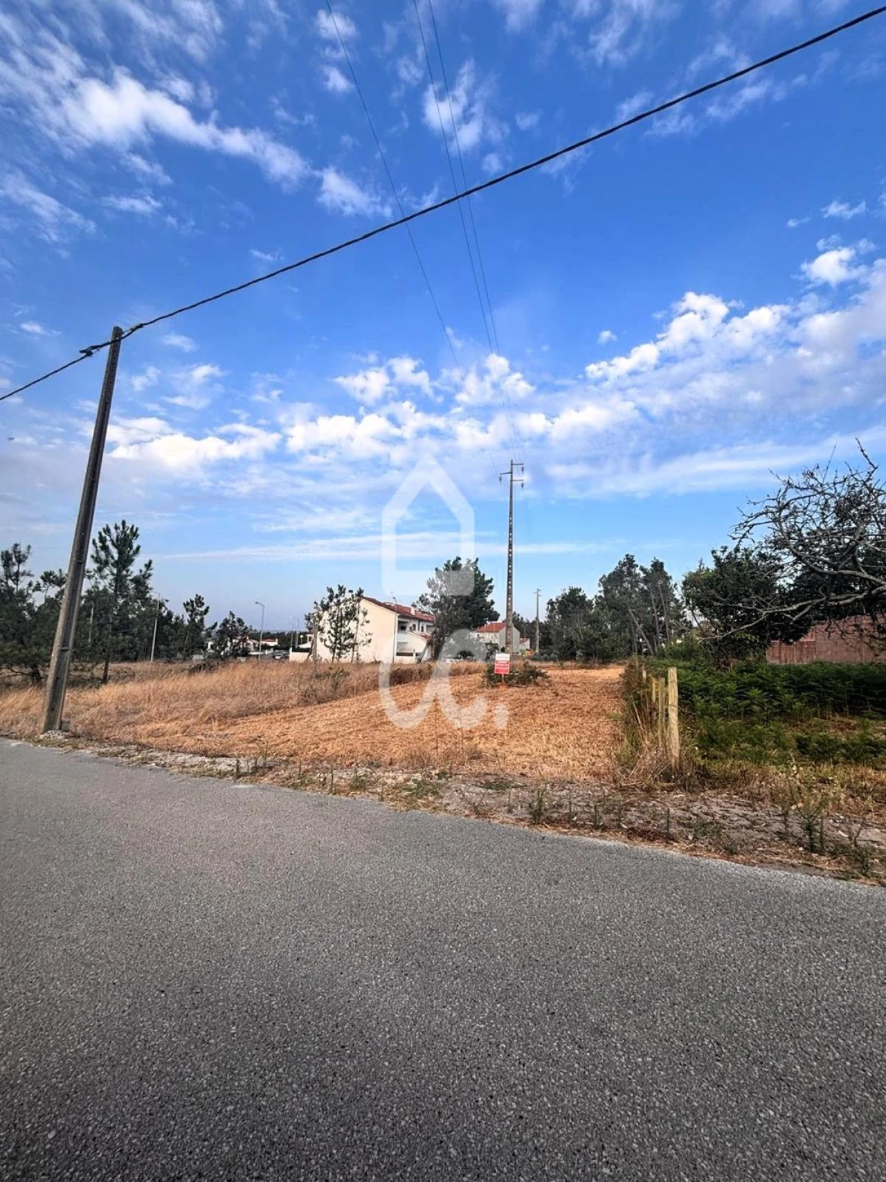 Terreno para Venda em Vieira de Leiria Foto 7