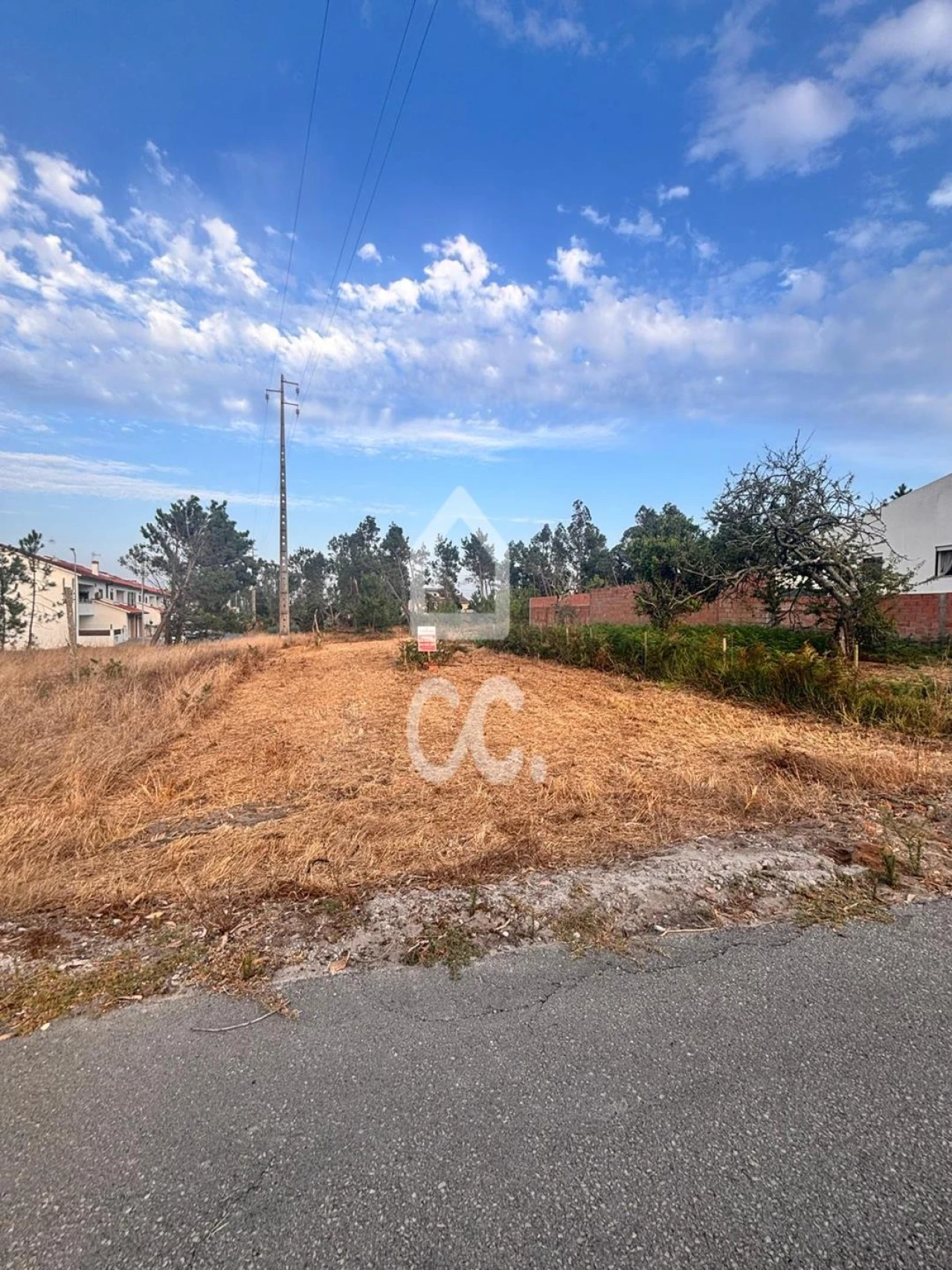 Terreno para Venda em Vieira de Leiria Foto 5