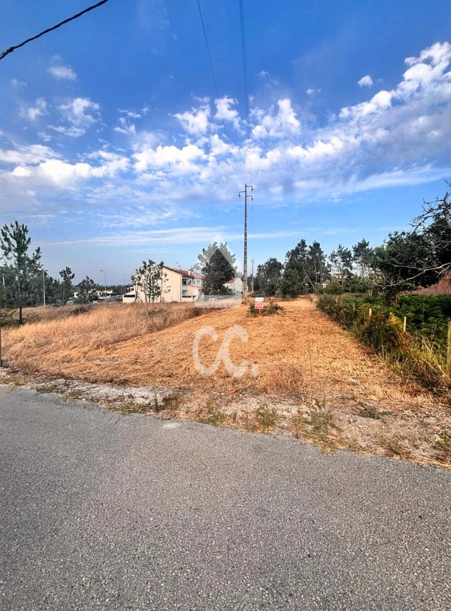 Terreno para Venda em Vieira de Leiria Foto 11