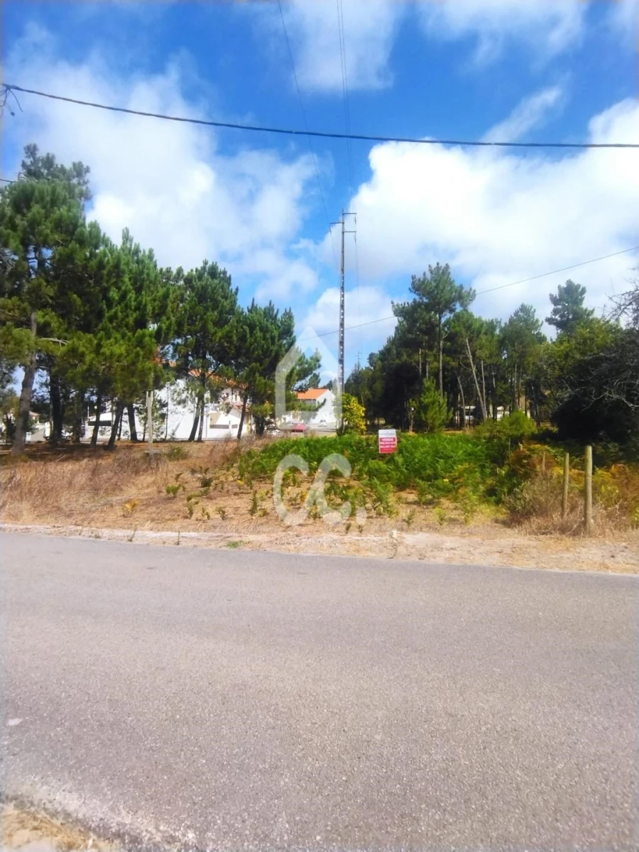 Terreno para Venda em Vieira de Leiria Foto 6