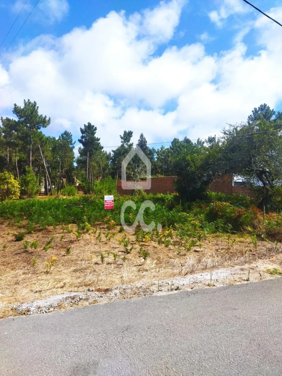 Terreno para Venda em Vieira de Leiria