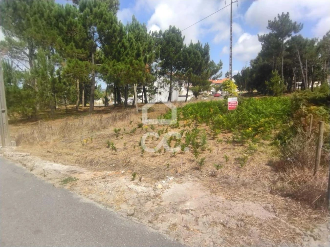 Terreno para Venda em Vieira de Leiria Foto 8