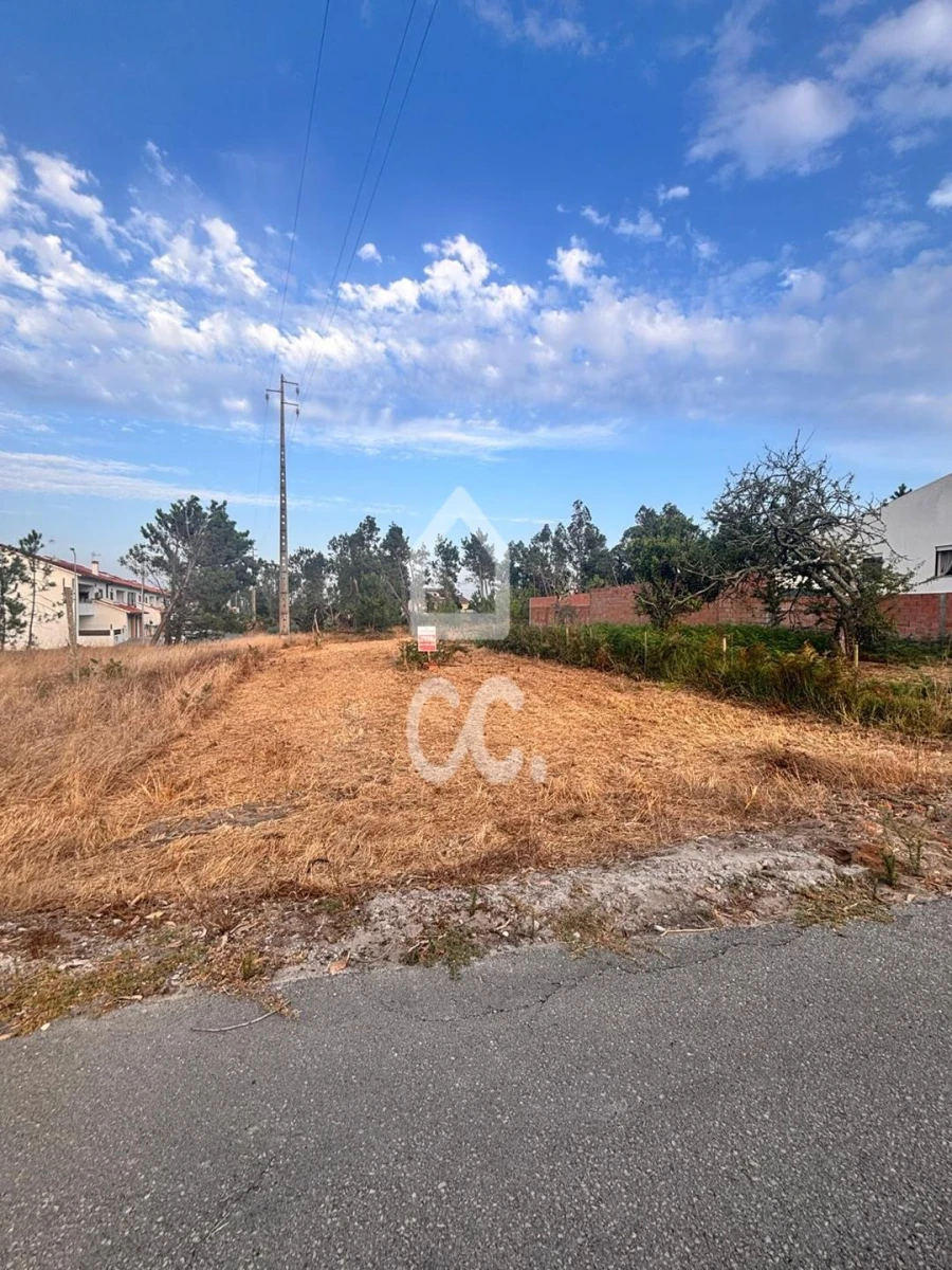 Terreno para Venda em Vieira de Leiria Foto 5