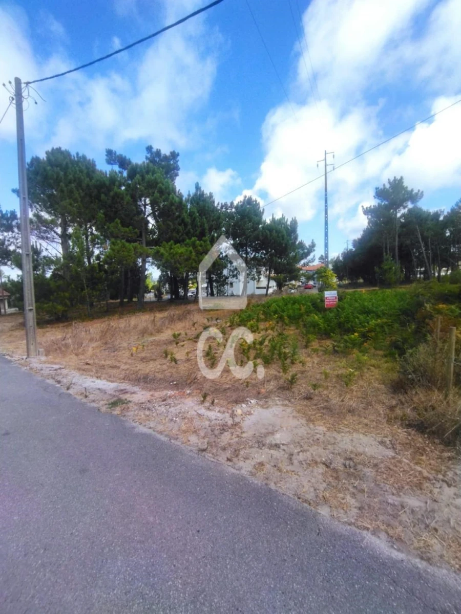 Terreno para Venda em Vieira de Leiria Foto 11