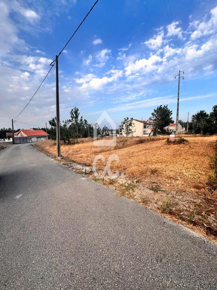 Terreno para Venda em Vieira de Leiria Foto 2
