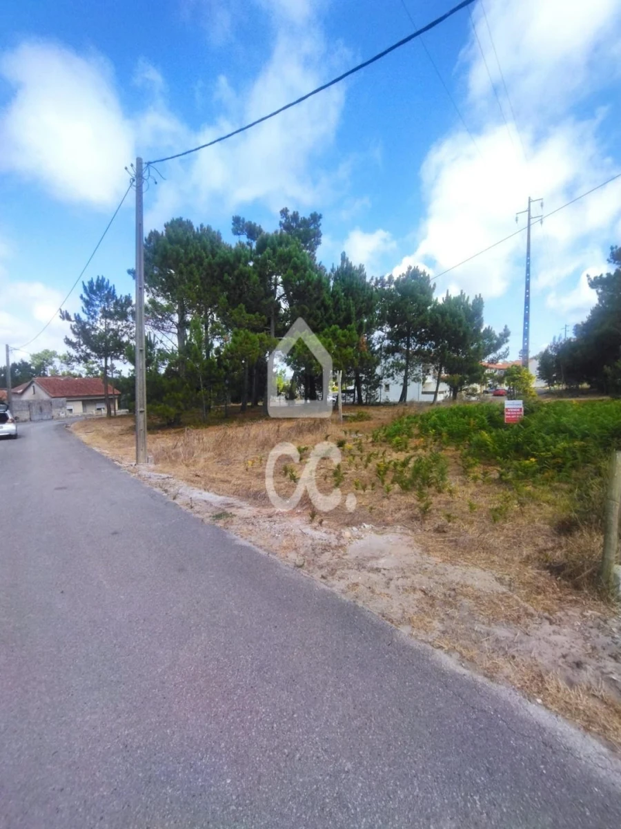 Terreno para Venda em Vieira de Leiria Foto 5