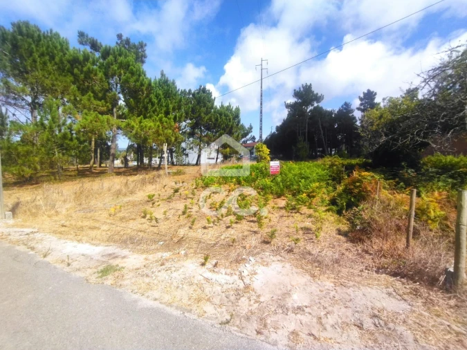 Terreno para Venda em Vieira de Leiria Foto 4