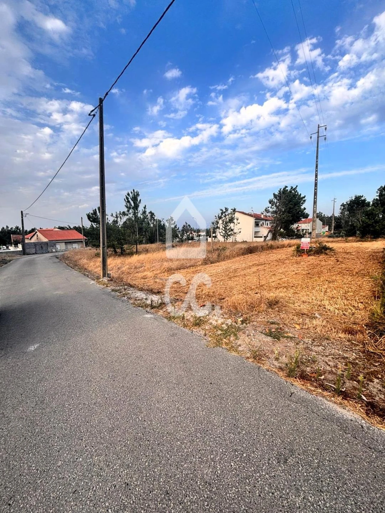 Terreno para Venda em Vieira de Leiria Foto 2