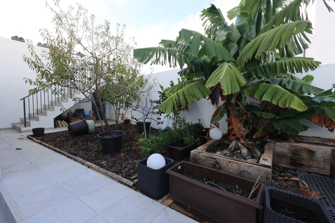 Moradia T3 para Venda em Silves Foto 56
