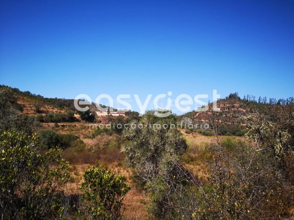 Quinta T2 para Venda em Santa Clara-A-Velha Foto 7