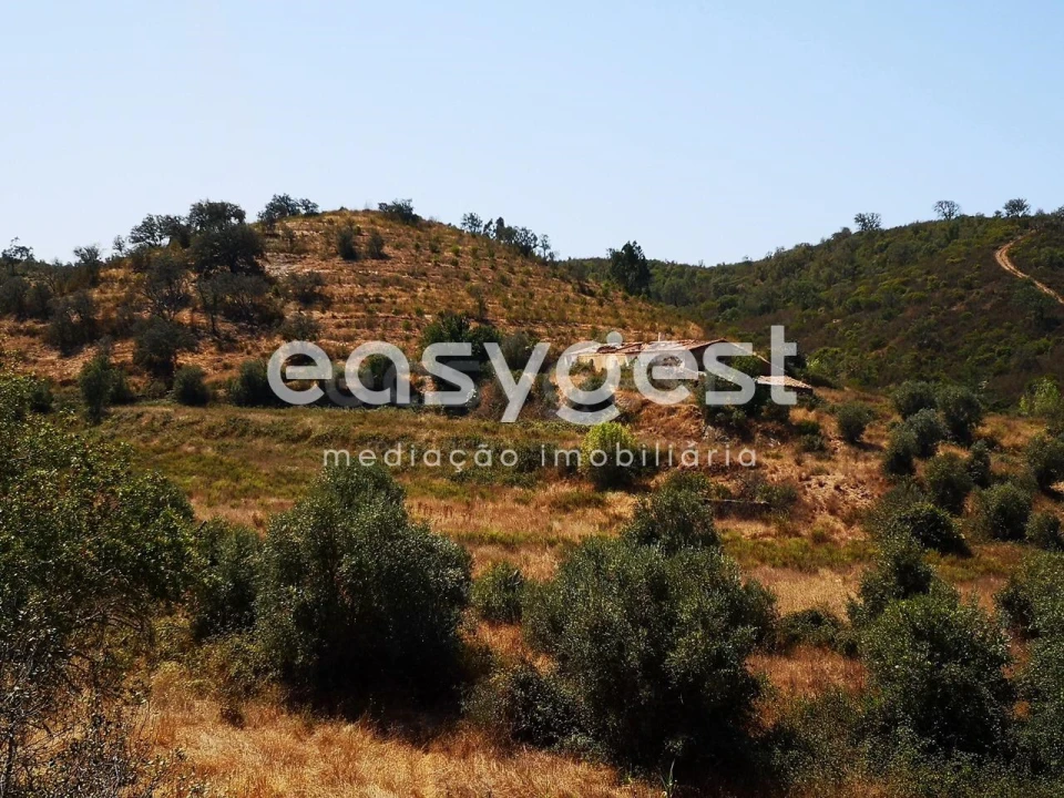 Quinta T2 para Venda em Santa Clara-A-Velha Foto 10