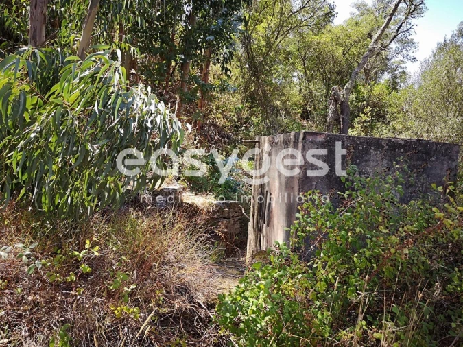 Quinta T2 para Venda em Santa Clara-A-Velha Foto 4