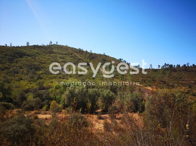 Quinta T2 para Venda em Santa Clara-A-Velha Foto 6