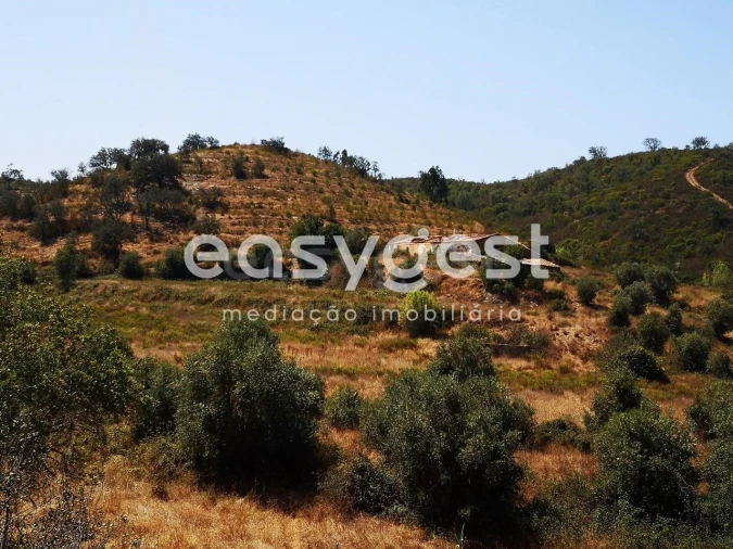 Quinta T2 para Venda em Santa Clara-A-Velha Foto 10