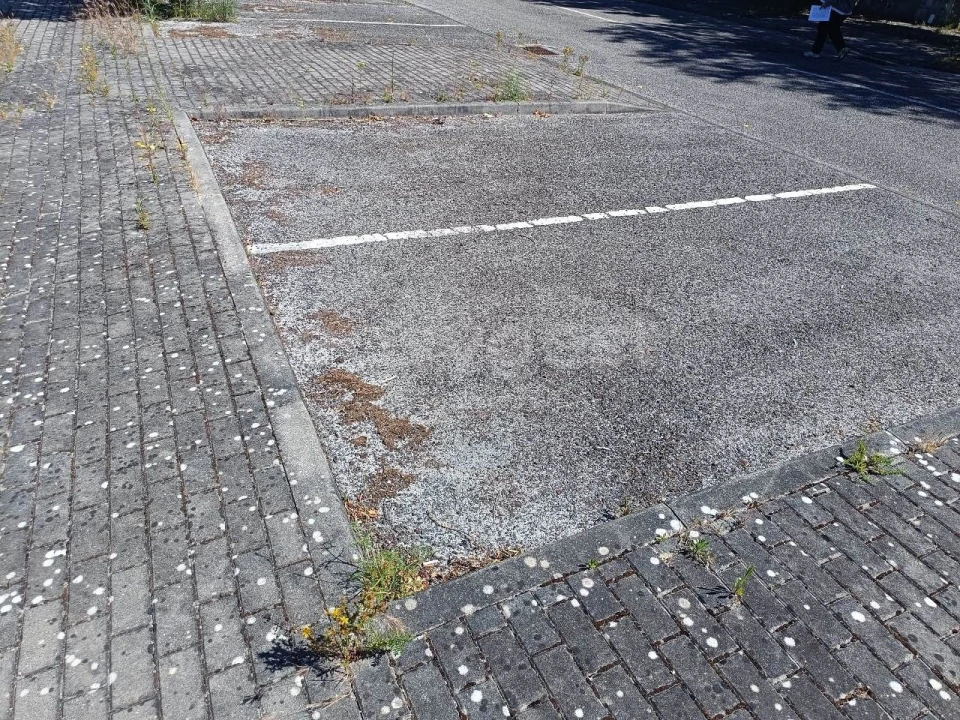 Terreno para Venda em Torres Novas (Santa Maria, Salvador e Santiago) Foto 5