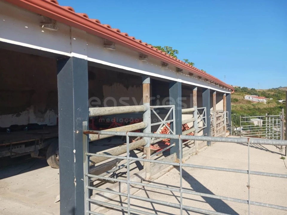 Quinta T4 para Venda em Alhandra, São João dos Montes e Calhandriz Foto 19