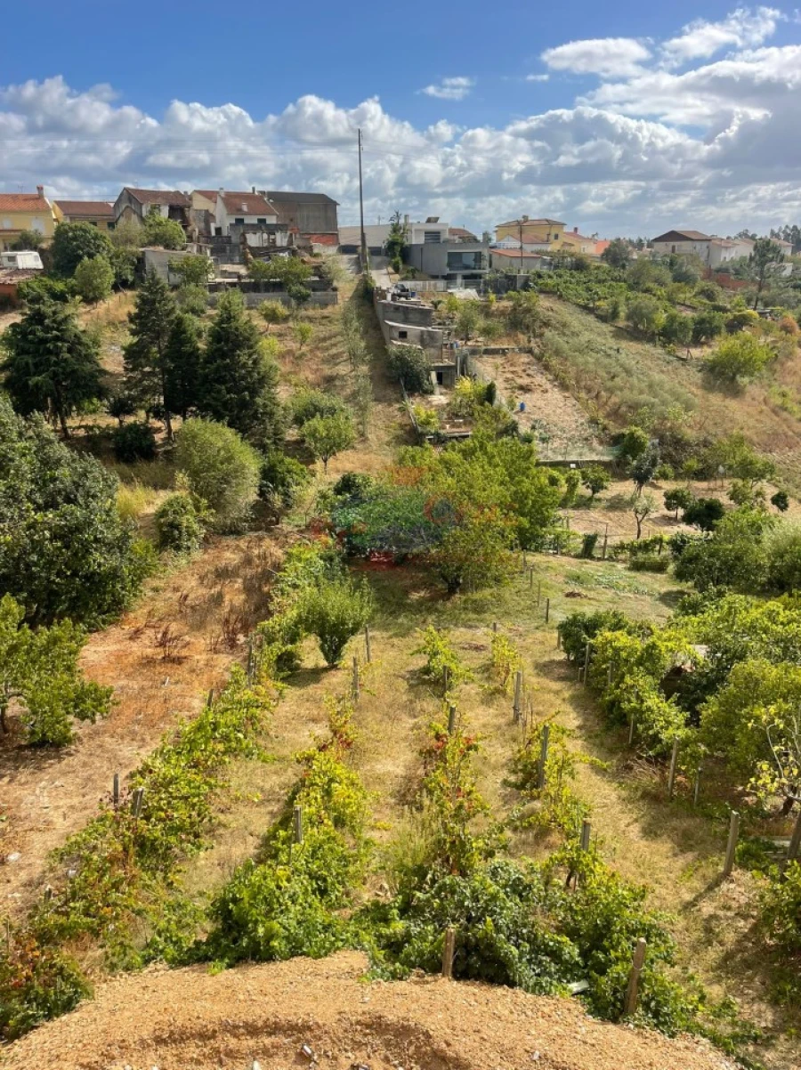 Moradia T4 para Venda em Eiras e São Paulo de Frades Foto 14