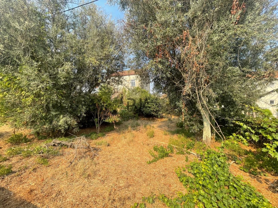 Moradia T3 para Venda em Mangualde, Mesquitela e Cunha Alta Foto 16