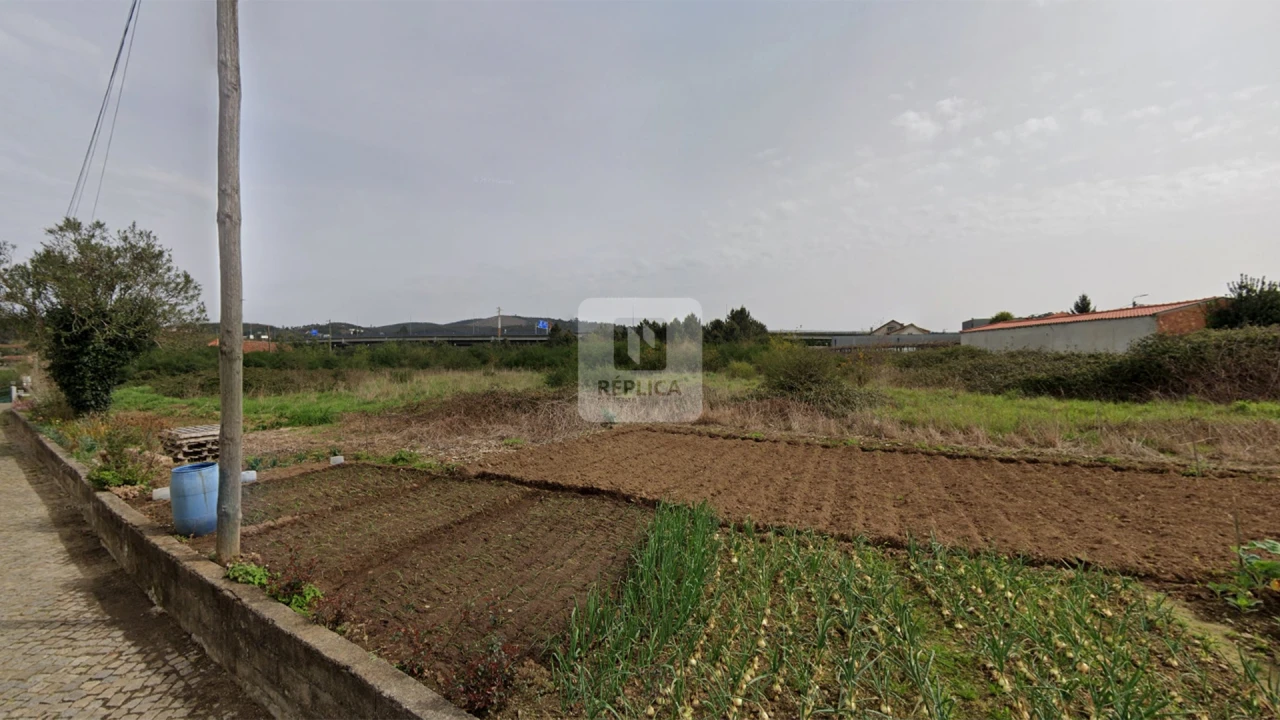 Terreno para Venda em Campo e Sobrado Foto 4