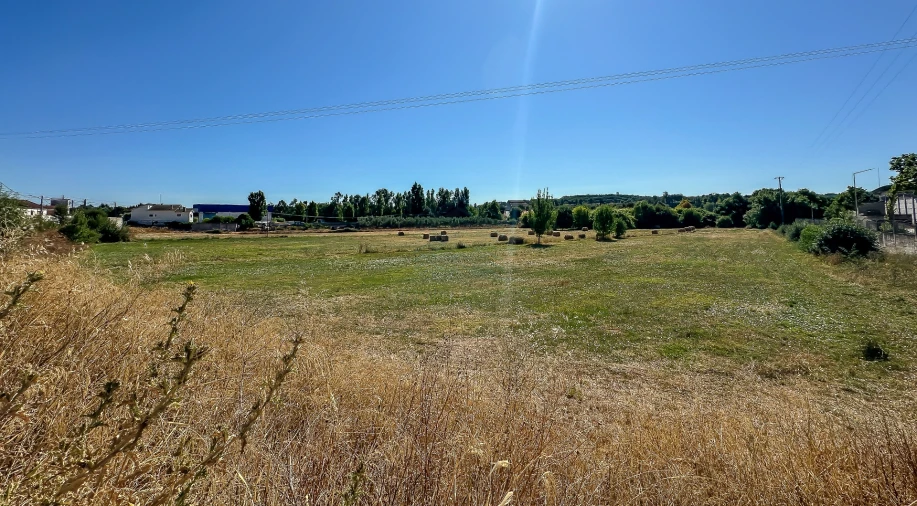 Terreno para Venda em Alcanena e Vila Moreira Foto 8
