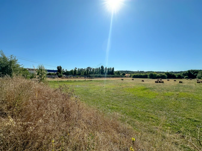 Terreno para Venda em Alcanena e Vila Moreira Foto 7