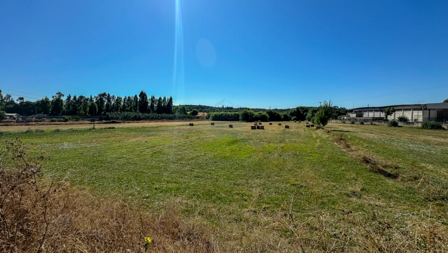 Terreno para Venda em Alcanena e Vila Moreira Foto 5