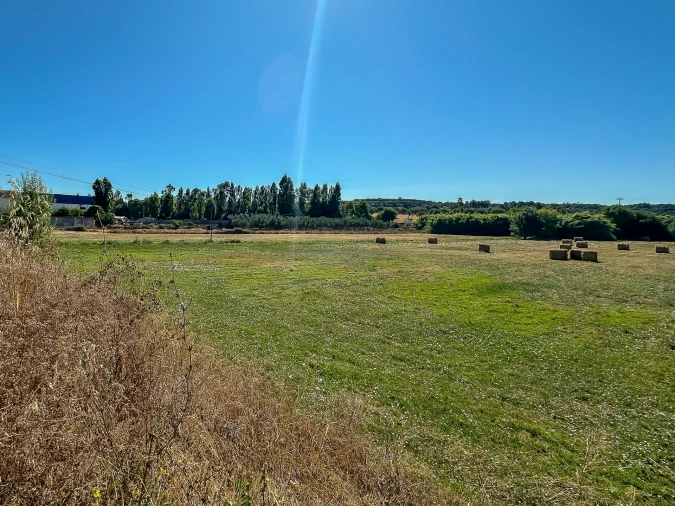 Terreno para Venda em Alcanena e Vila Moreira Foto 6