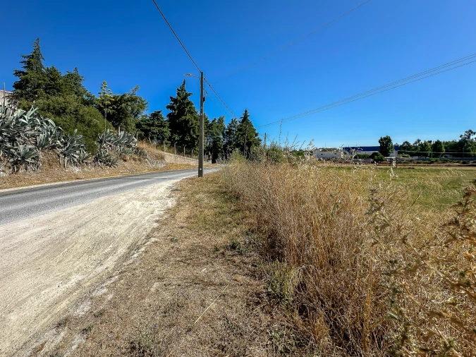 Terreno para Venda em Alcanena e Vila Moreira Foto 9