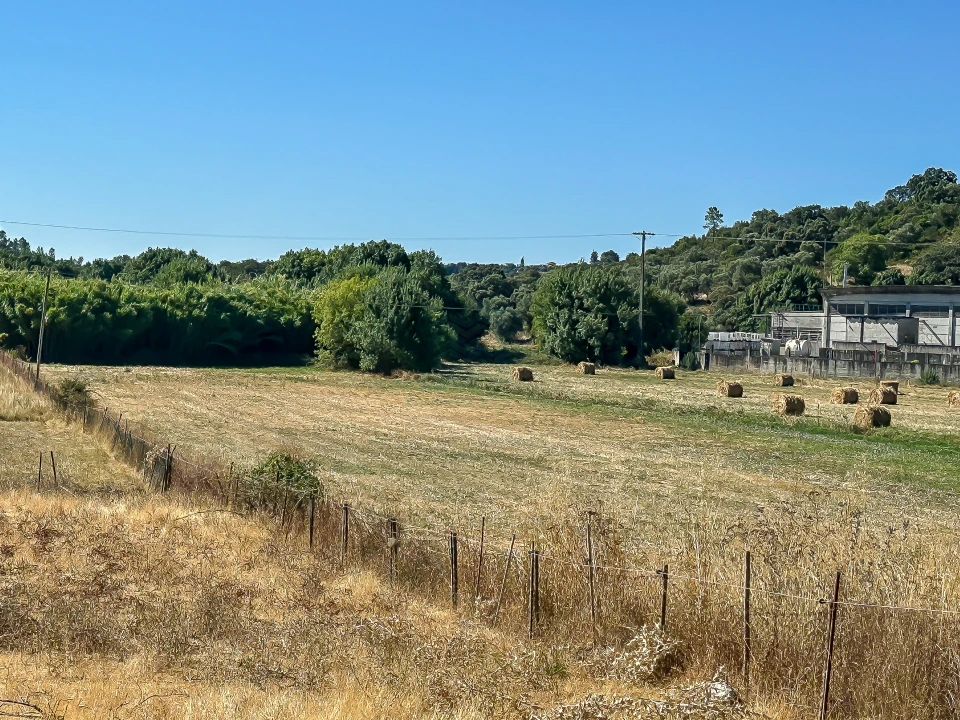 Terreno para Venda em Alcanena e Vila Moreira Foto 10
