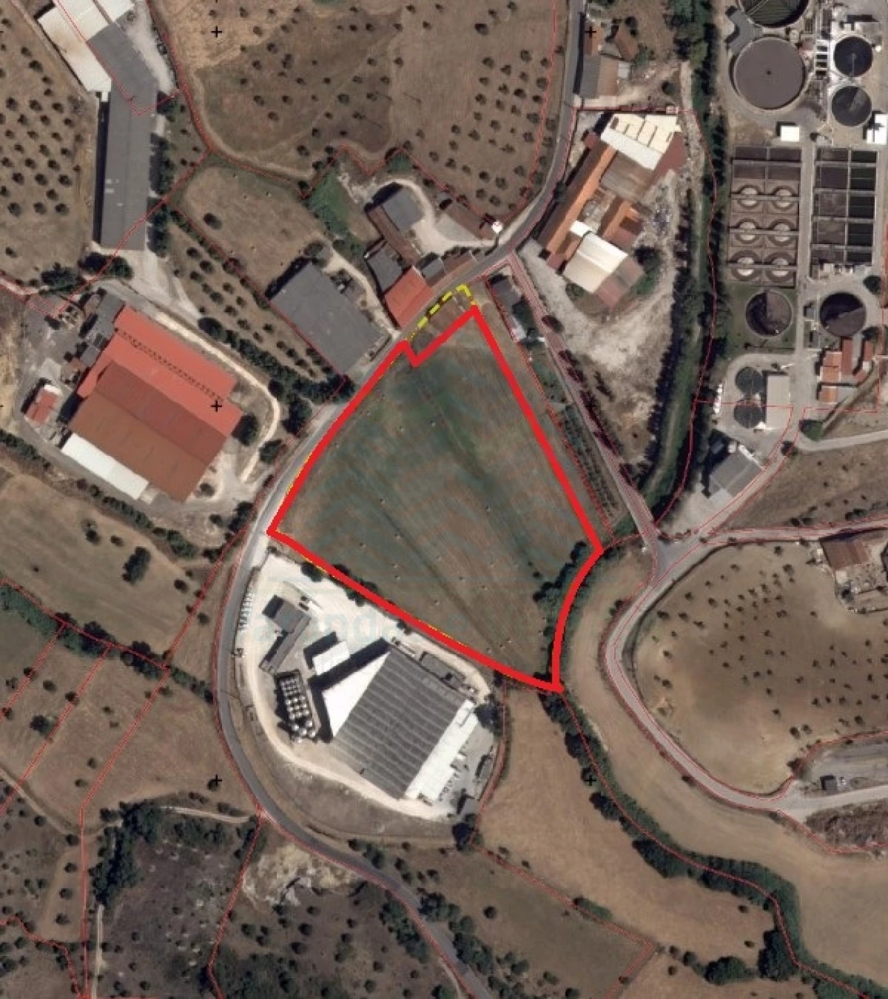 Terreno para Venda em Alcanena e Vila Moreira Foto 11