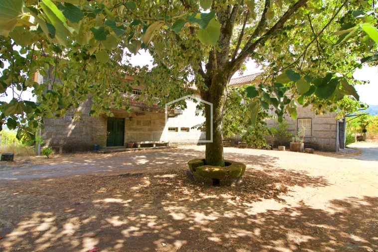 Quinta T12 para Venda em Tabuado Foto 41