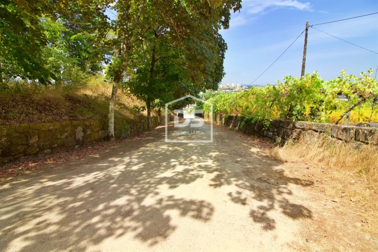 Quinta T12 para Venda em Tabuado Foto 35