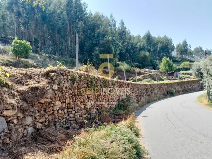Terreno para Venda em Raiva, Pedorido e Paraíso Foto 12