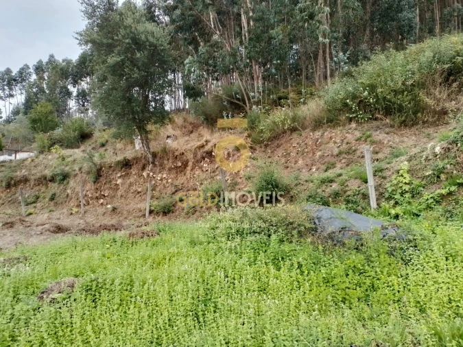 Terreno para Venda em Raiva, Pedorido e Paraíso Foto 6