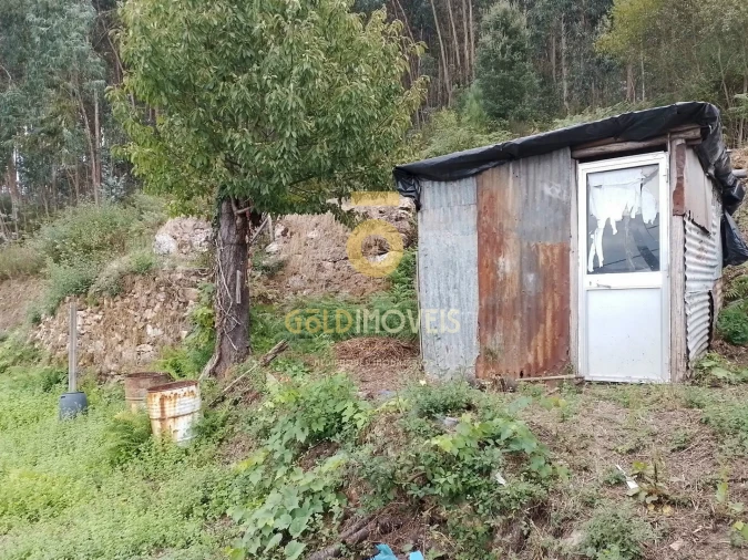 Terreno para Venda em Raiva, Pedorido e Paraíso Foto 10